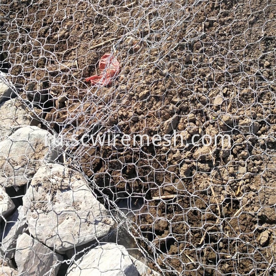 Gabion Cage